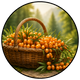 Carefully Selected Berries