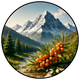 Himalayan Origin