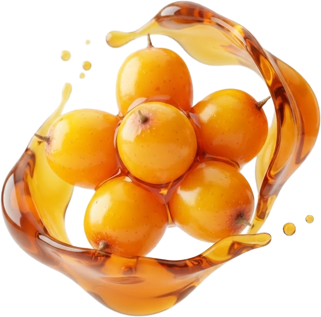 Modern Life Can Make Balanced Nutrition Hard
