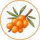 Sea Buckthorn