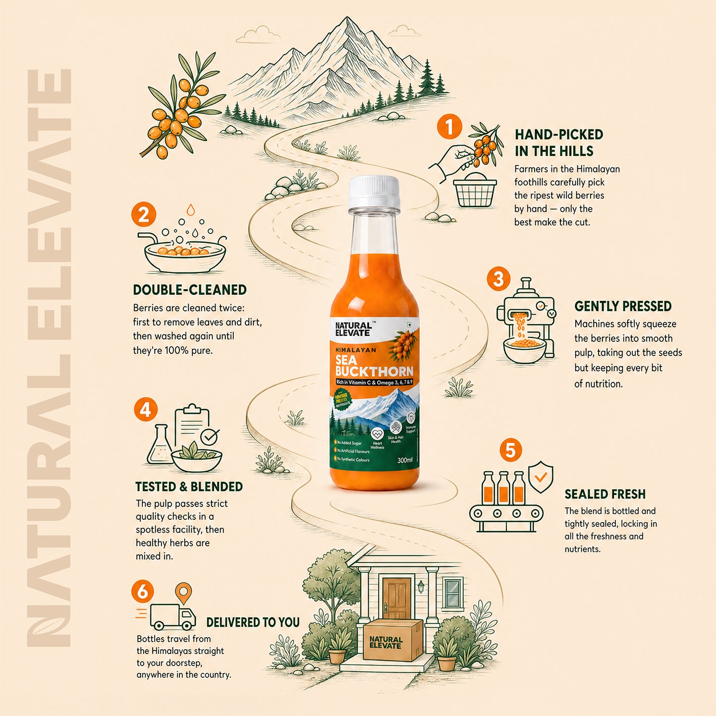 Sea Buckthorn Juice